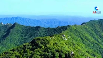 小秦岭重回动植物宜居之地
